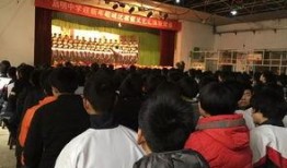 新乐网友爆料最新消息,最新消息引发热议！